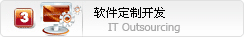 软件外包，管理系统软件开发——西部软件外包